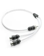 JL Audio Marine Y-Adapter Cable - Single Male to Dual Female RCA