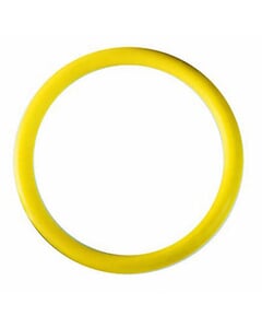 Airmar DST800 Yellow O Ring for valve