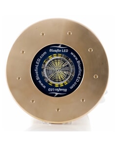 Bluefin LED Great White GW20 Flush Mount Light - Cobalt Blue