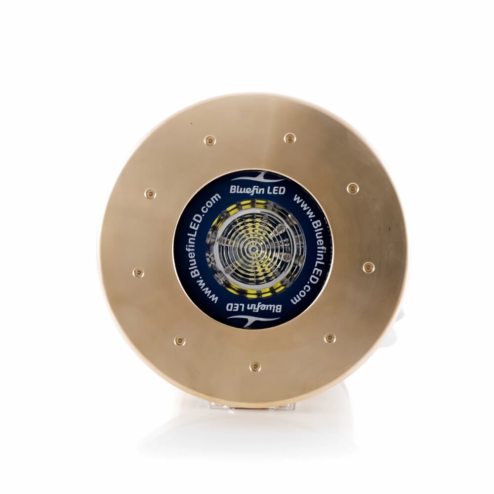 Bluefin LED Mako M12 Flush Mount Light - 12V Cobalt Blue