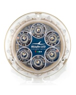 Bluefin LED Bronze Piranha P6 SM High Power Light - RGBW