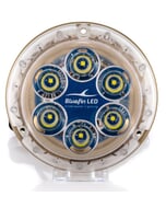 Bluefin LED Bronze Piranha P6 Nitro SM Light - 12V Diamond White