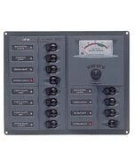 BEP CBrkr Pnl DC 24V 12X Single Pole 3 x 5A 4 x 10A 4 x 15A 1 x 25A W/ Analog VoltMeter & Ammeter