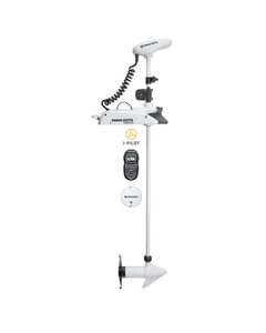 Minn Kota RT TERROVA 55/IP BT 60"