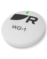 Raymarine WG-1 Wireless Gateway